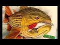 Clique para assistir - ExpoPesca 2008 em Goiania – exposição Ocelos Ilustrada