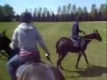polo-ste-mesme.html