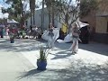 HiroBellyDance.mov