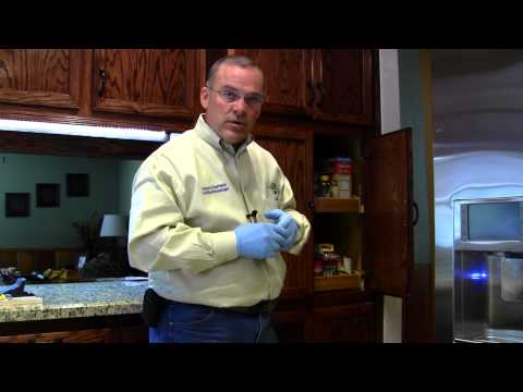 pest control - Steve Durham from EnviroCon Termite & Pests discusses regular home pests control treatments in the kitchen. We look at pests around the sink like ants and co...