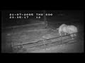 DEFRA TB video 7 DEFRA TB video 7