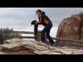 Funny cat plays Lion King (Circle of Life)