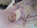 incey wincey isabel
