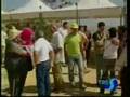 Notiziario TRS - Pecora valle del Belìce