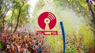 Josh Wink - Live @ Family Piknik 2013