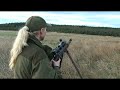 Incredible roebuckhunt