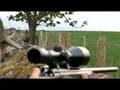Incredible roebuckhunt