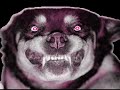 Catchin Feelinz Remix F./ Eazy-E, DMX & SHiNDoGG