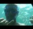 Trapped Underwater