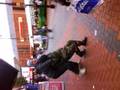videos de w4lk3r toke a army man dwn hahahahah