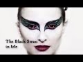The Black Swan in Me