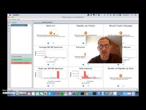 PRIDE Inspector Toolsuite: Peaks File