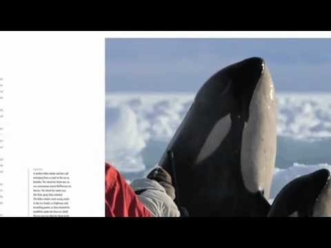 Frozen Planet trailer - Vanessa Berlowitz