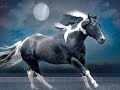 brule
native american indian spirit horses
painthorses