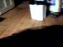See Video