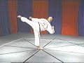 Taekwondo Songahm - In Wha Ee-Jahng Taekwondo Songahm - In Wha Ee-Jahng