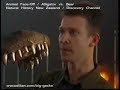 Big Gecko - Animal Face-Off excerpt (Alligator vs Bear)