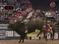 Bull Riding