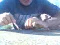 batalla epica 2!!