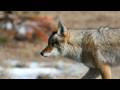 Rocky Mountain National Park winter 2008 - YouTube