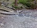 Kopa Biskupa 2009 MTB Mini Downhill