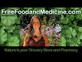 Wild Food Free Medicine