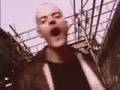 Spiral-Tribe-FFWD-TH