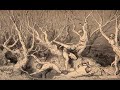 [Pt. V] Nox Arcana - Legions of Darkness