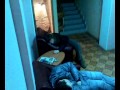 Уснувшие в ожидании