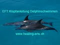 EFT Klopfanleitung Blockaden lösen Delphinschwimmen