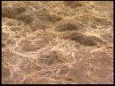 Danger - Debris Flow Danger - Debris Flow