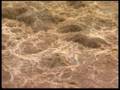 Danger - Debris Flow