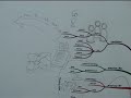 I love producing handdrawn mindmaps as it appeals to my artistic side. However I am completely at home producing a mind map with software. I have now started combing iMindMap and my artwork as you will see in this video clip.www.destech.wordpress.com
