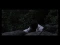 Fade Teaser Fade Teaser