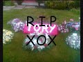 R.I.P TOEY