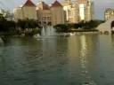 20080816