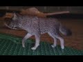 Wilderness Of The Wild-Deer-The Dangers of the Forest(pt2) Wilderness Of The Wild-Deer-The Dangers of the Forest(pt2)
