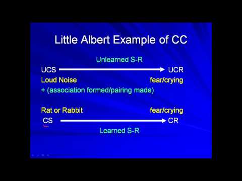 AP Psych Review: Classical Conditioning: An Overview