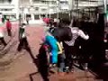 Makria gaidoura by 1o gymnasio Triandrias