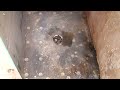 walk in shower FITTED