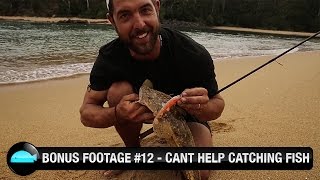 Catching Flathead At The Wrong Time | Westin hypoteez