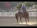 Dana Hokana Winning Strides Secrets To A Truly Willing Horse Dana Hokana Winning Strides Secrets To A Truly Willing Horse