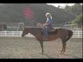 Dana Hokana Winning Strides Secrets To A Truly Willing Horse