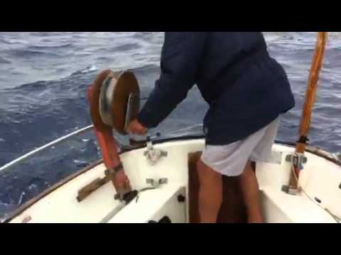 Dentol de 7 Kg 700 gr.