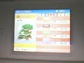 My Pokemon Diamond Team