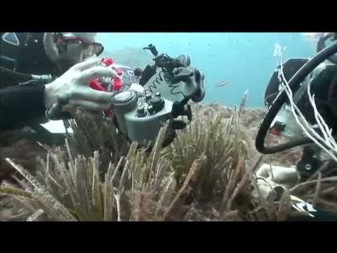 youtube-img