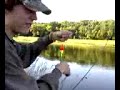 panfish usa