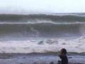 FREE SURFING MAUI
