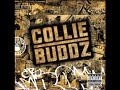 Collie Buddz – Gimme Love