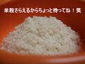 レンジでご飯を炊いてみよう.wmv